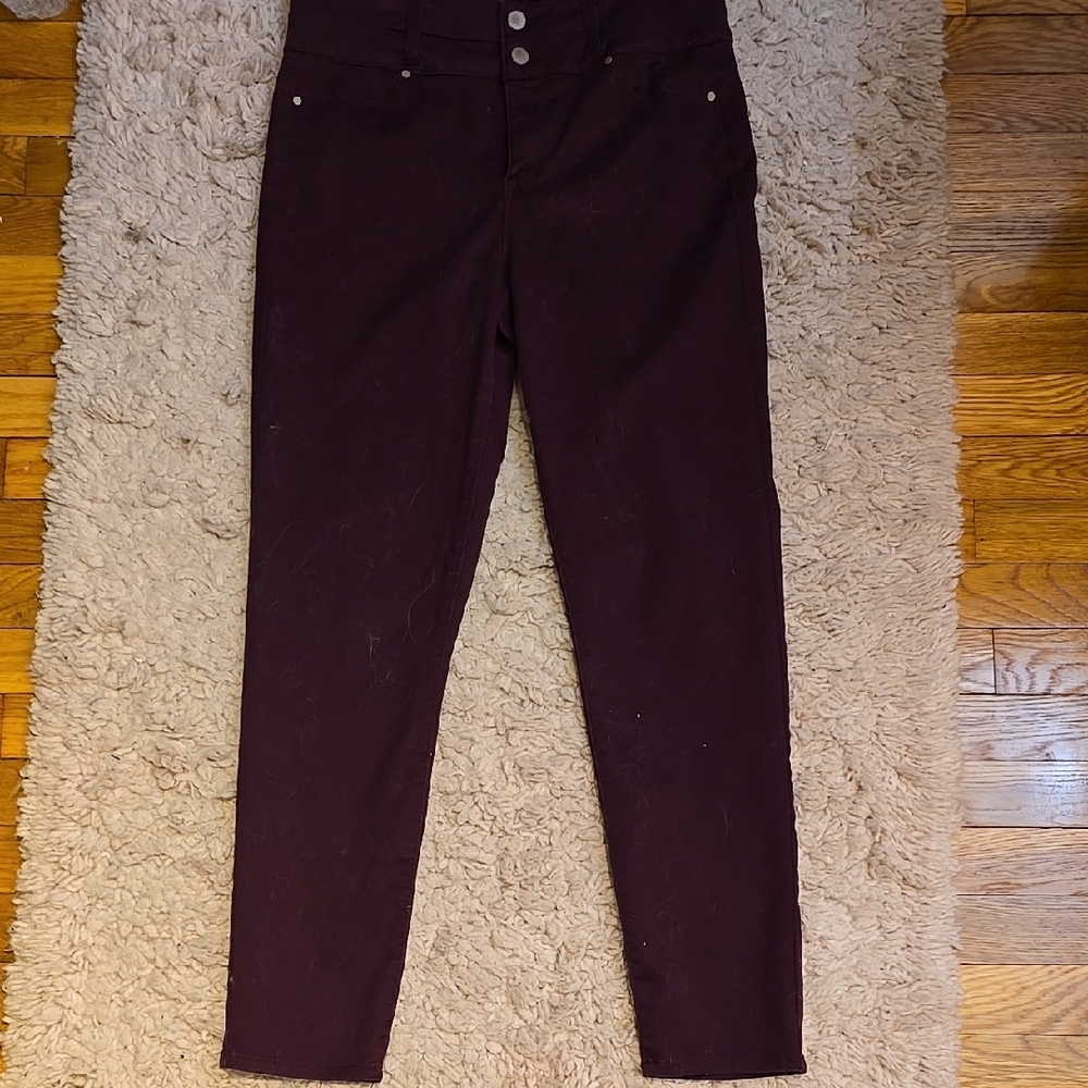 Sapphire Ink Burgundy Pants